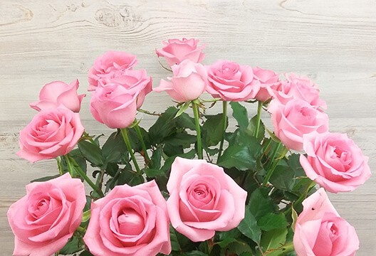 Розовая роза (Россия, 70 см)